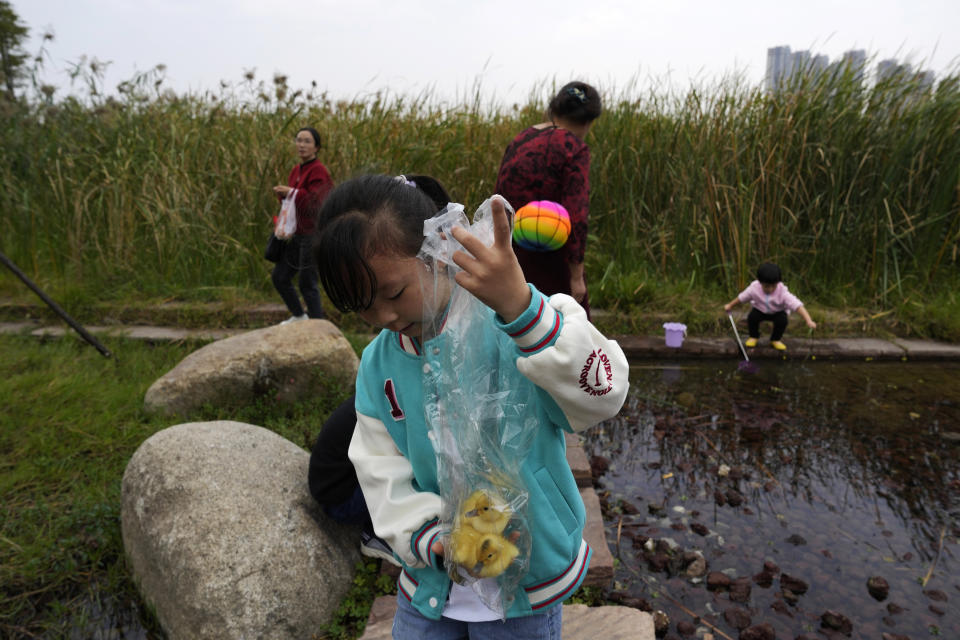 A child holds up a plastic bag containing baby ducks as she walks past a pond and plants at the "Fish Tail" sponge park built on a former coal ash dump site in Nanchang in north-central China's Jiangxi province on Saturday, Oct. 29, 2022. The concept of the park involves creating and expanding parks and ponds within urban areas to prevent flooding and absorb water for times of drought. (AP Photo/Ng Han Guan)