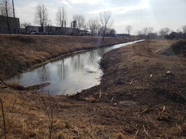 The city has cleared the banks of the Grand Marais Drain just east of Howard Avenue. (Tony Doucette/CBC - image credit)