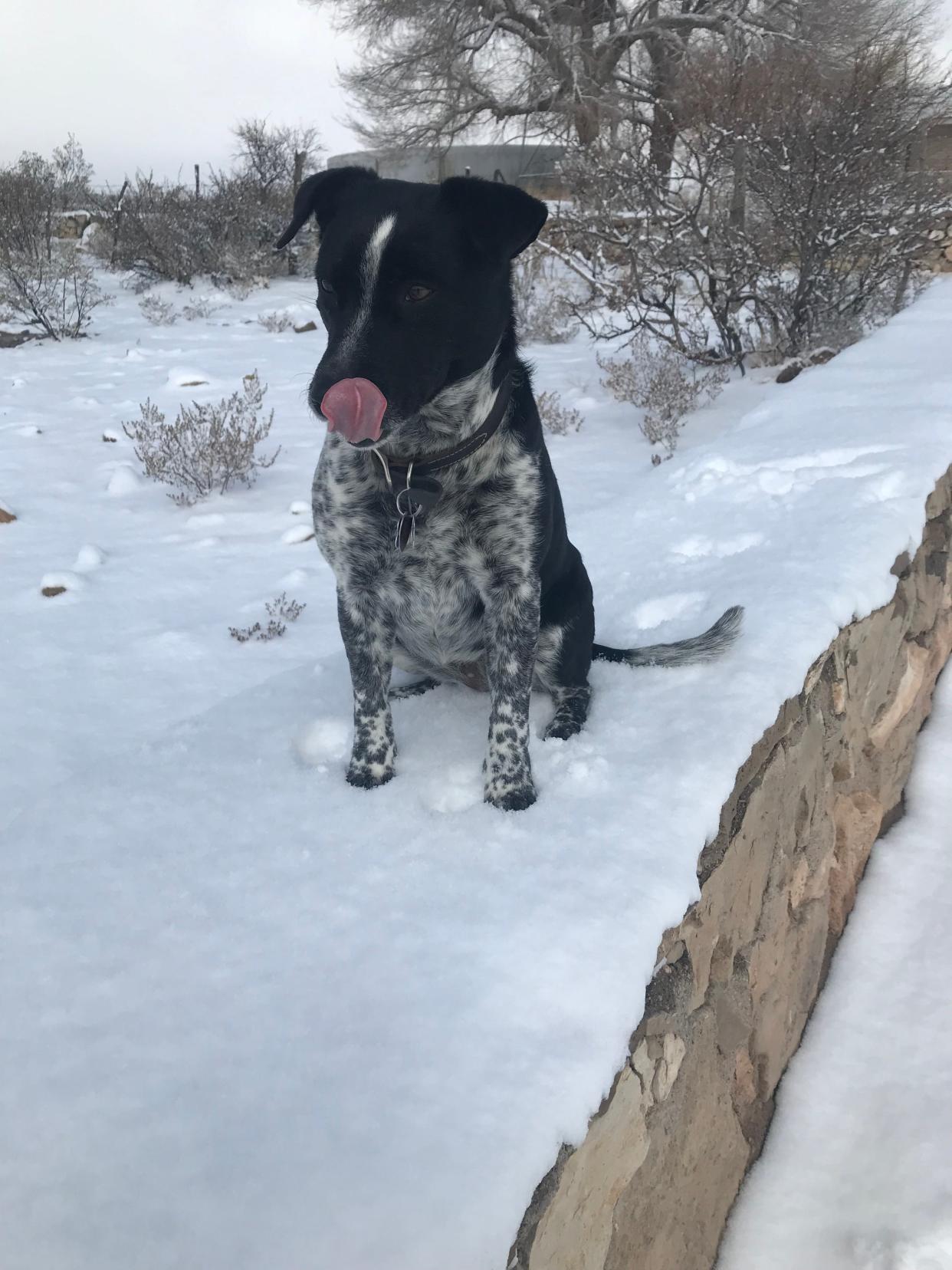 "Catching snowflakes."