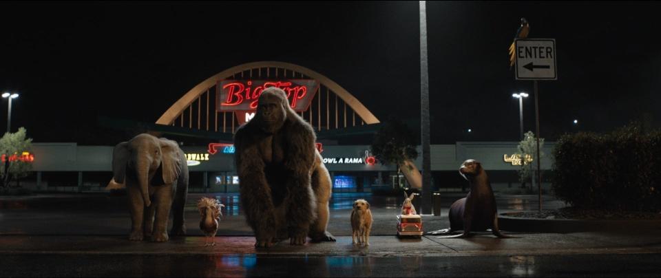 The gorilla Ivan (center, voiced by Sam Rockwell) leads an animal escape with his friends – elephant Ruby (Brooklynn Prince), chicken Henrietta (Chaka Khan), stray dog Bob (Danny DeVito), rabbit Murphy (Ron Funches), seal Frankie (Mike White) and parrot Thelma (Phillipa Soo) – in "The One and Only Ivan."