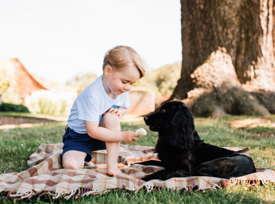 FYI: You can buy a grown-up version of Prince George’s birthday t-shirt for about $13