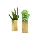 <p>Target carries some totally adorable succulent plants, but honestly, you might prefer to lay down the cash on real succulents since they're so easy to take care of anyway. </p>