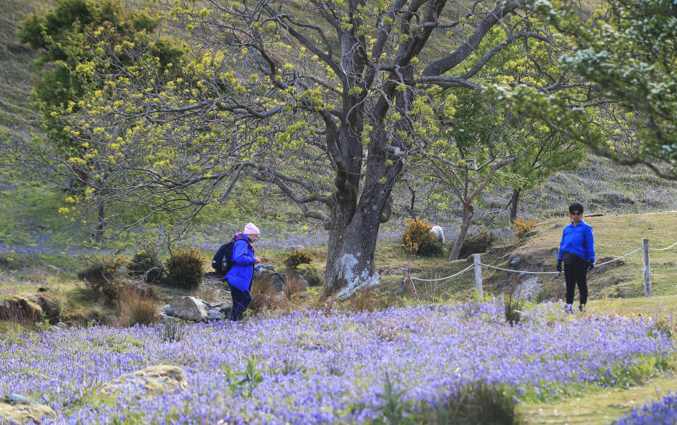 Walkers take a stroll at Rannerdale Knotts in the Lake District, Cumbria, on the first day of lifting of coronavirus lockdown restrictions on leisure activities and outdoor exercise. (Photo by Owen Humphreys/PA Images via Getty Images)