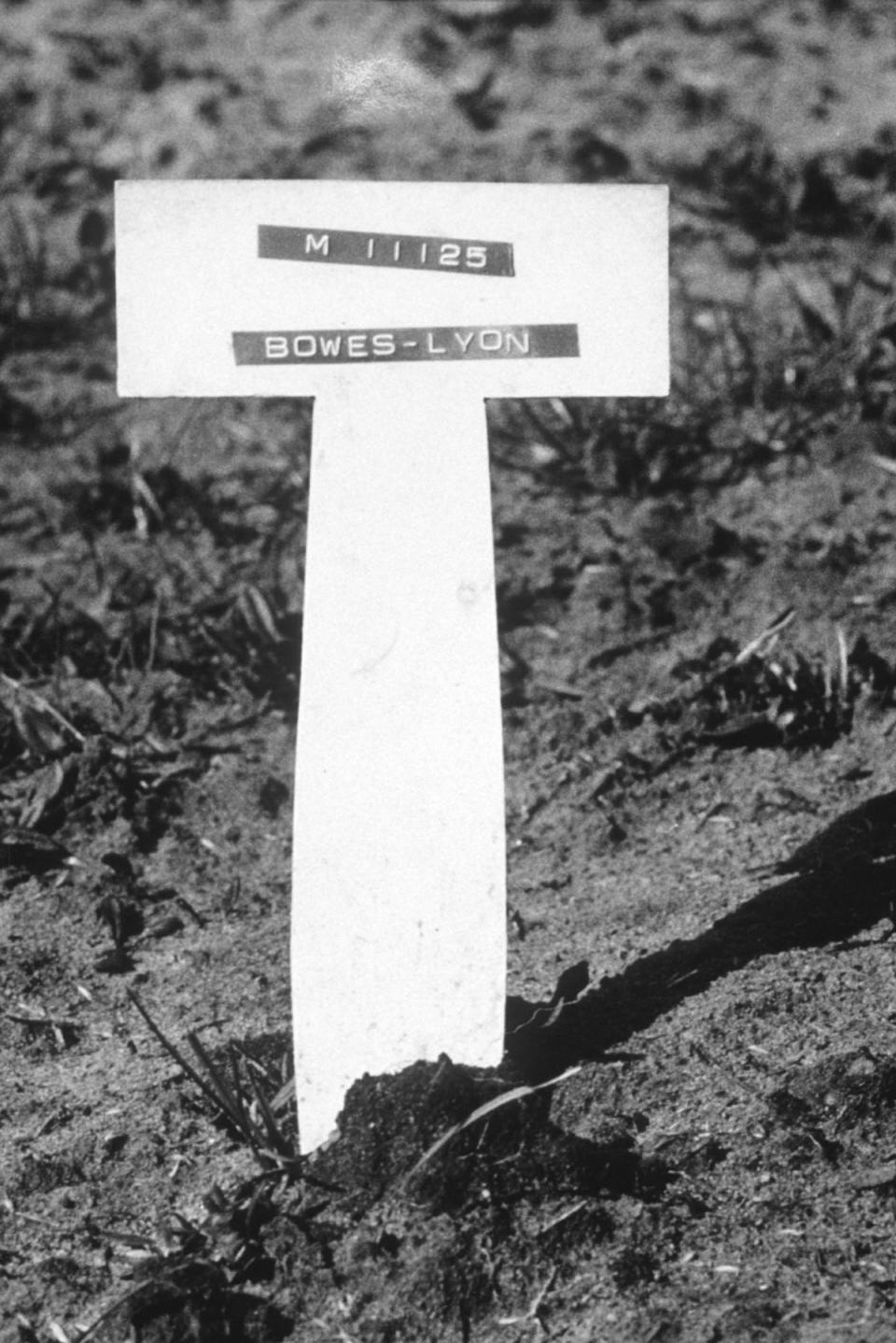 Nerissa Bowes-Lyon’s gravestone, 1987 (Rex Features)