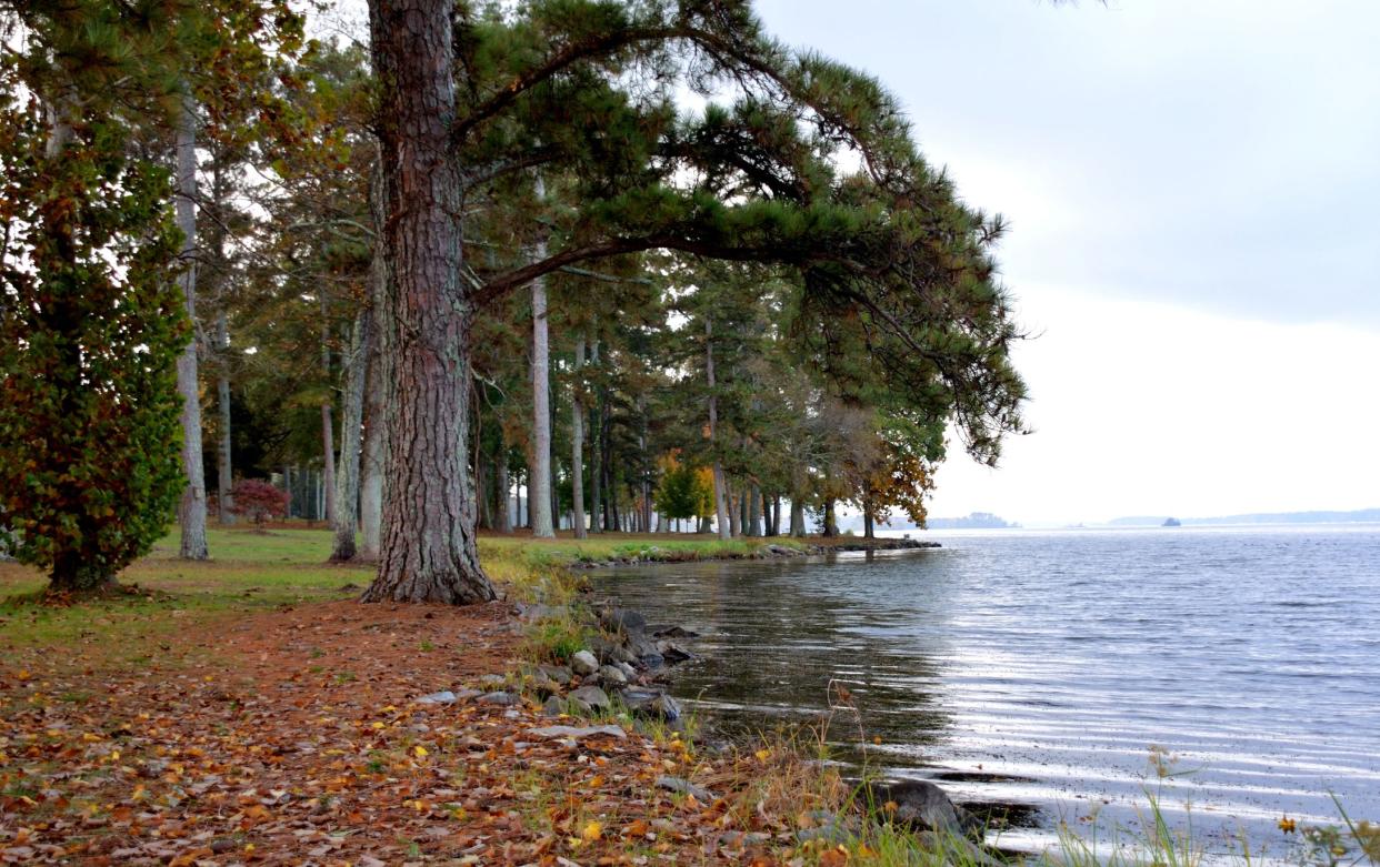 Lakeshore at a park located at Lake Guntersville, Alabama, USA, Tennessee River