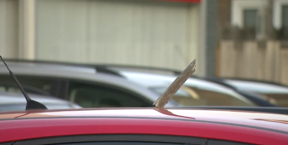 A piece of debris from a Boeing plane lodged in a car roof in Meerssen.