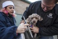 Front Street Animal Shelter's foster rescue coordinator Lori Rhoades (L) and volunteer Greg Baker prepare one of 50 dogs in Sacramento, California, for a flight to a no-kill shelter in Idaho, December 9, 2013. Picture taken December 9, 2013.REUTERS/Max Whittaker (UNITED STATES - Tags: ANIMALS SOCIETY)