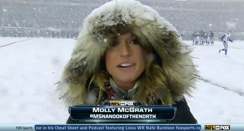 eagles lions sideline reporter