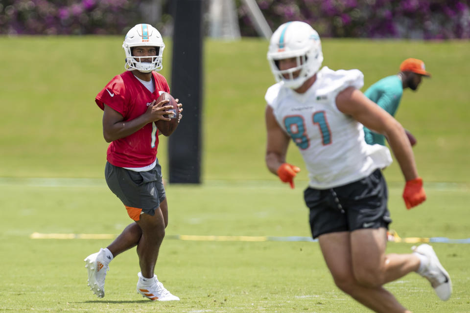 Miami Dolphins quarterback Tua Tagovailoa (1) has fantasy questions marks surrounding him