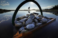 FILE - In this Sept. 2, 2016, file photo, a basket of clams is harvested at Cape Porpoise in Kennebunkport, Maine. The industry is threatened by warming waters and the growing presence of invasive green crabs, which eat clams. (AP Photo/Robert F. Bukaty, File)