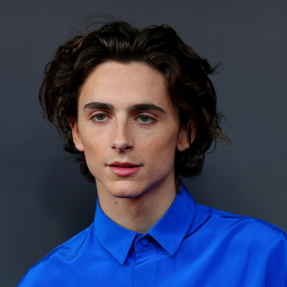 Timothee Chalamet attends the Australian premiere of The King at Ritz Cinema in Sydney, Australia, on Oct. 10, 2019. (Don Arnold / WireImage)