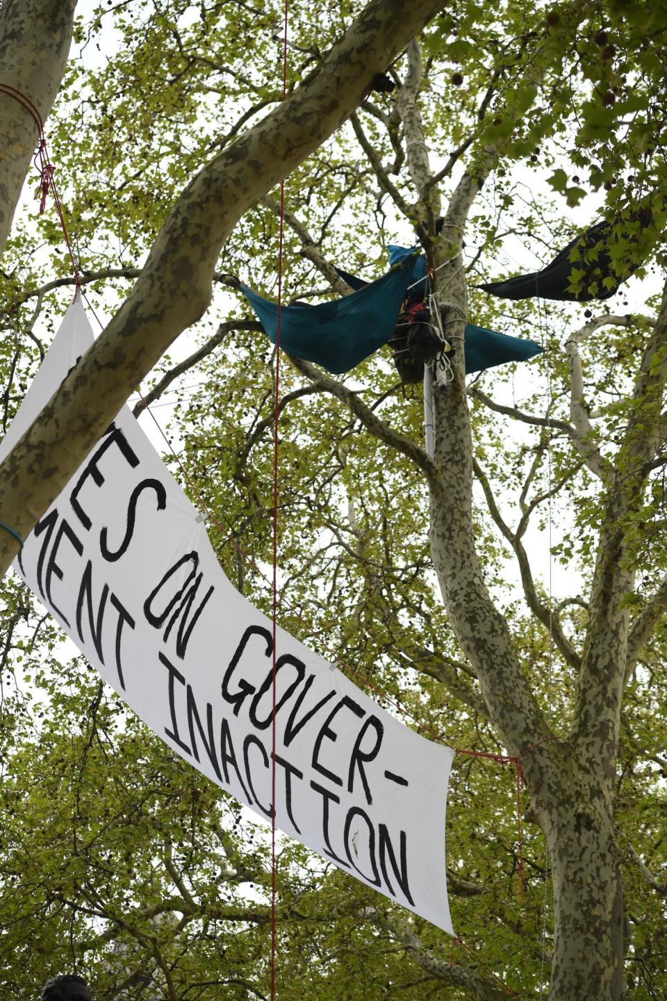 Extinction Rebellion hanging from trees in Parliament Square on Tuesday. (Jeremy Selwyn)