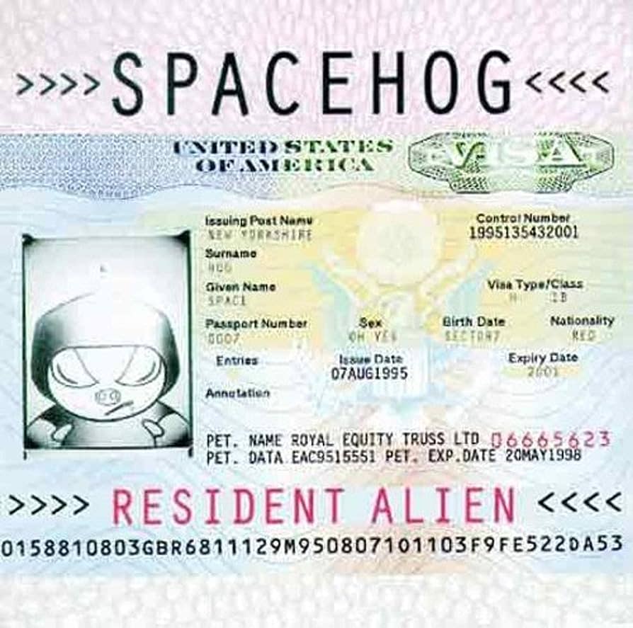 Spacehog – In The Meantime