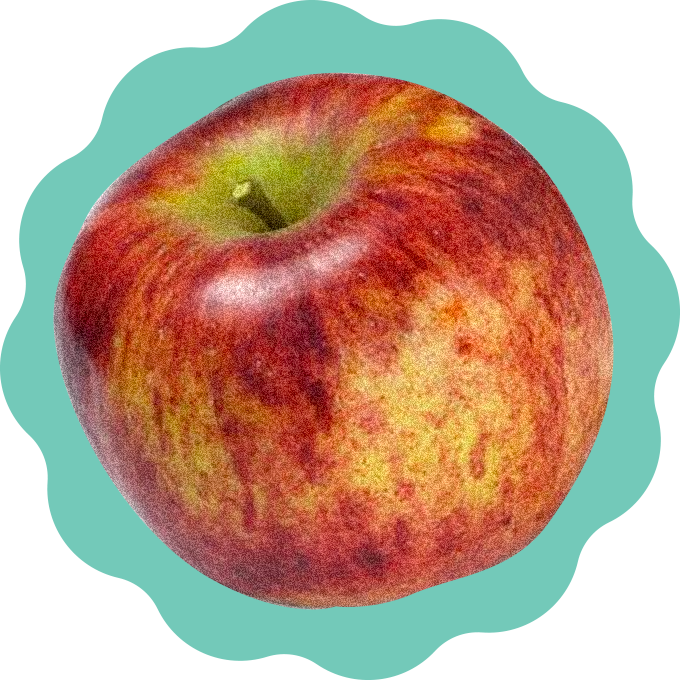 apple ilustration