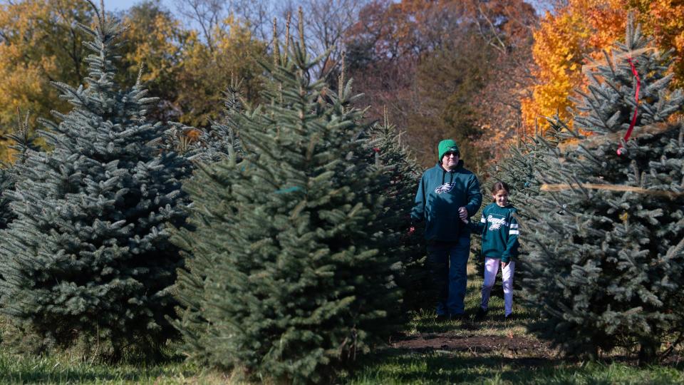 Michael Starkey and his daughter Amelia, of Sewell, browse Christmas trees as they visit Exley’s Christmas Tree Farm in Sewell on Saturday, November 11, 2023.