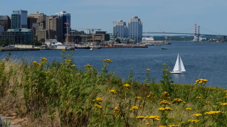 Georges Island 'a beautiful opportunity waiting to happen,' says MP