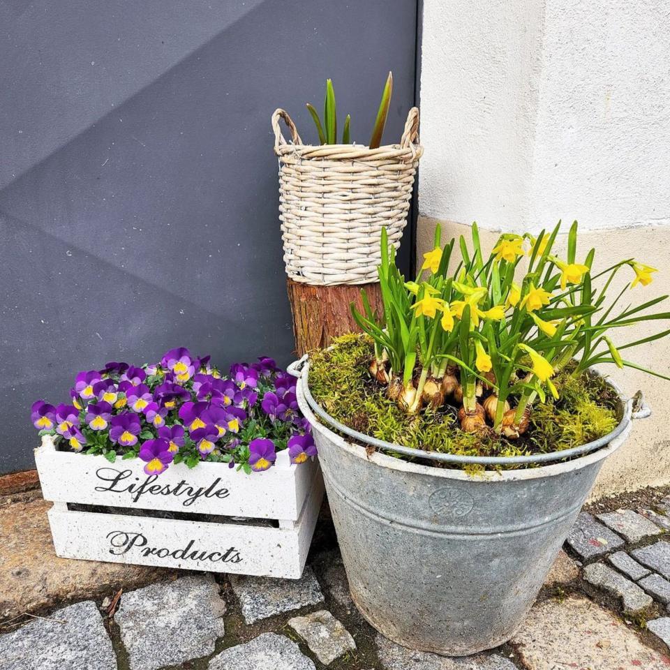 Des jardinieres aux couleurs de Pâques