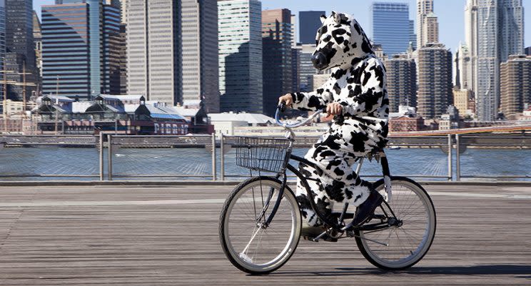 People are dressing up as cows for free Chik-fil-A. (Photo: Getty Images)