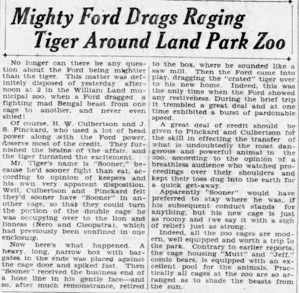 A story in the May 12, 1927, edition of The Sacramento Union describes a tiger dragged around the Sacramento Zoo by a vehicle.