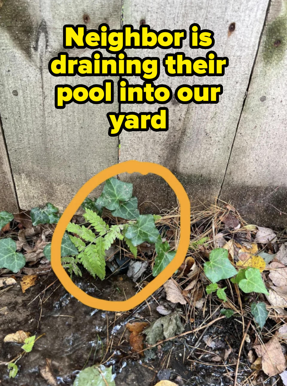 <span> u/RightEconomy7072 / Via <a href="https://www.reddit.com/r/mildlyinfuriating/comments/178meie/neighbor_is_draining_their_pool_into_our_yard/" rel="nofollow noopener" target="_blank" data-ylk="slk:reddit.com;elm:context_link;itc:0;sec:content-canvas" class="link ">reddit.com</a></span>