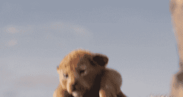 Animated lion cub Simba from "The Lion King" movie appears in a scene