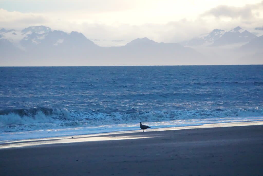 Cook Inlet waves roll onto the beach at Kenai on Aug. 14, 2018. (Photo by Yereth Rosen/Alaska Beacon)