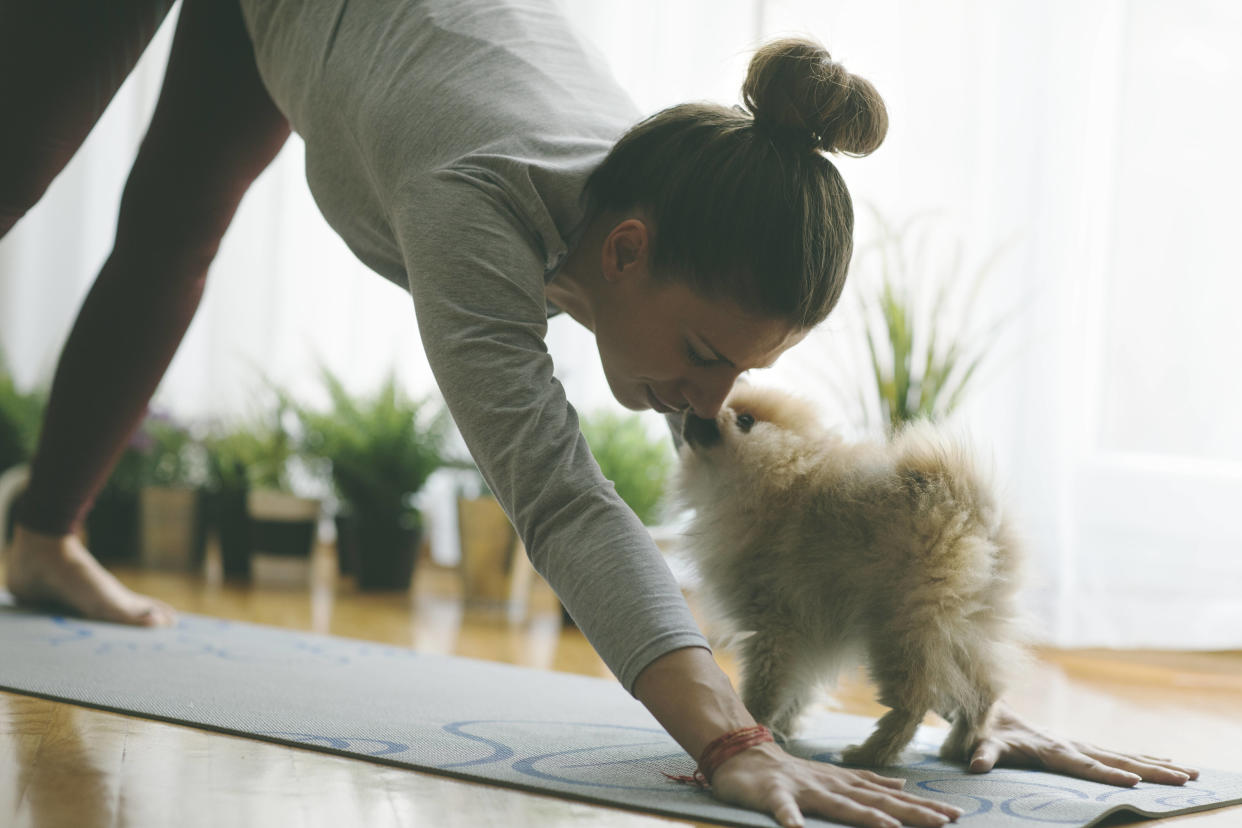 Le « puppy yoga » a été interdit en Italie pour ne pas stresser les chiots.