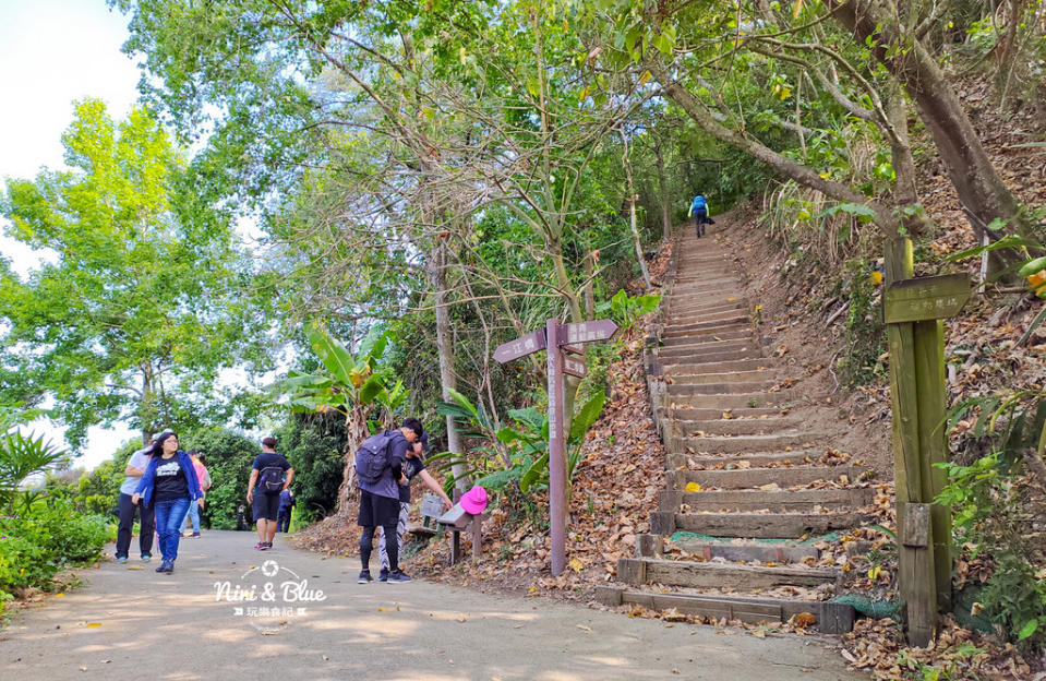 台中太平登山步道｜咬人狗坑生態景觀步道