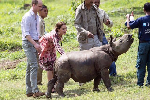 Kate Middleton and Prince William feed baby elephants and rhinos in India