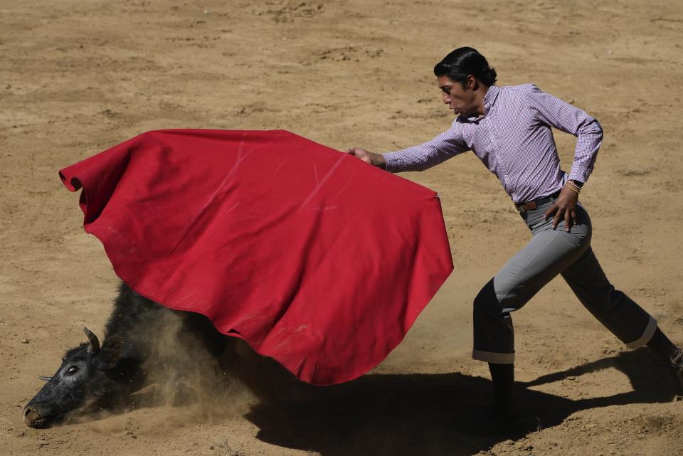 Mexican bullfighter Sergio Flores demonstrates his capework during a bullfighting workshop, in Aculco, Mexico, Thursday, Jan. 25, 2024. The workshop is part of an initiative promoted by the Mexican Association of Bullfighting to attract new followers to this centuries-old tradition and confront the growing global movement driven by animal defenders. (AP Photo/Fernando Llano)