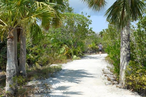 Como Parrot Cay Turks & Caicos 