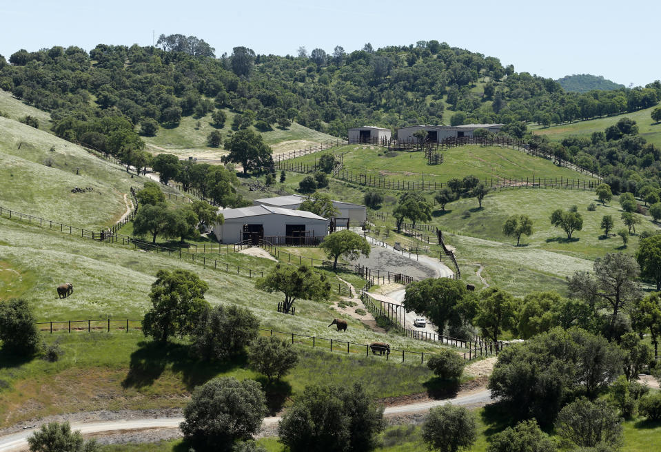 This Friday, April 26, 2019 photo shows the Performing Animals Welfare Society ARK 2000 Sanctuary near San Andreas, Calif. The more than 2,000 acre sanctuary was built more than a decade ago to provide a more natural environment to animals that have spent years displayed at zoo's or forced to perform at circuses. (AP Photo/Rich Pedroncelli)