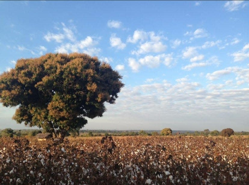 Former Peace Corps volunteer Nicole Jacobson took this photo of the view from her hut in Zambia, where the Peace Corps assigned her to live until 2018. She said agency staff dismissed her concerns after she reported being sexually harassed and assaulted by the father in her host family.