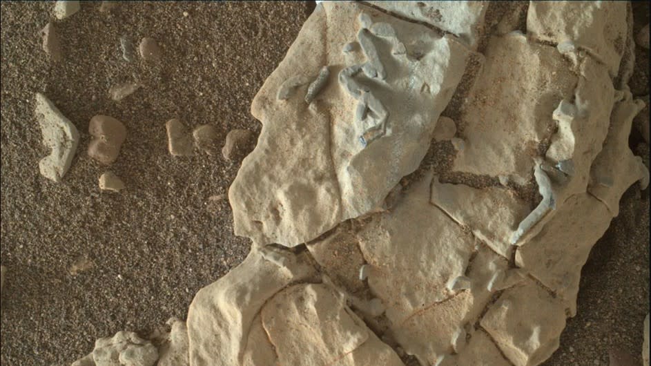 small crystal structure on Mars were mistaken for animal tracks