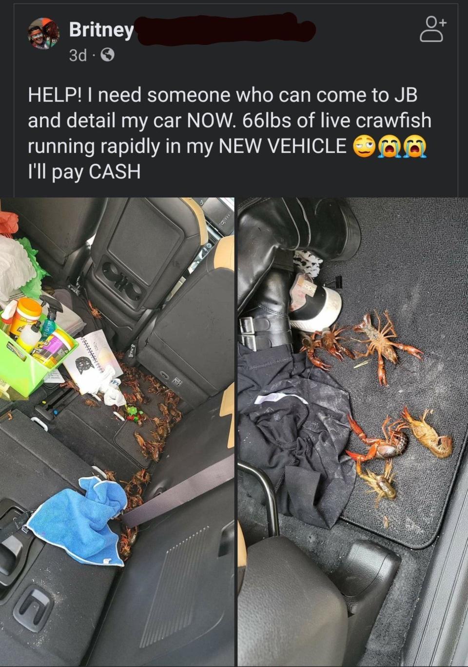 Person who spilled 66 pounds of live crawfish all over their car