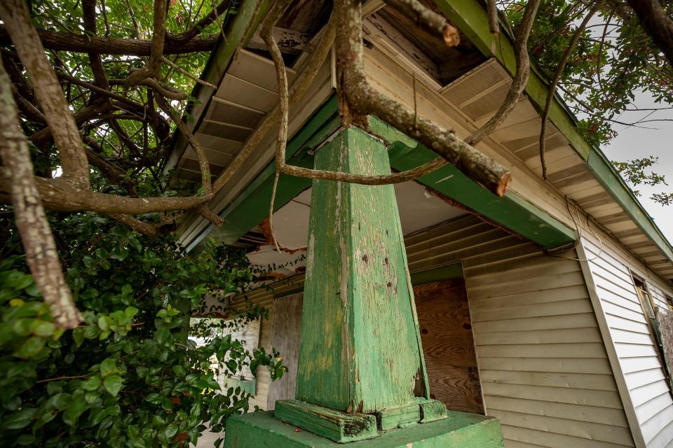 A Brazilian pepper tree has invaded the front porch of the Colvin House on D Street in Lake Wales. The house, which dates to 1920, is unoccupied and has been targeted by the city for potential demolition. But the owner and a local historian hope to find the funding to restore the house, one of the first built for Black pioneers in the Northwest community.