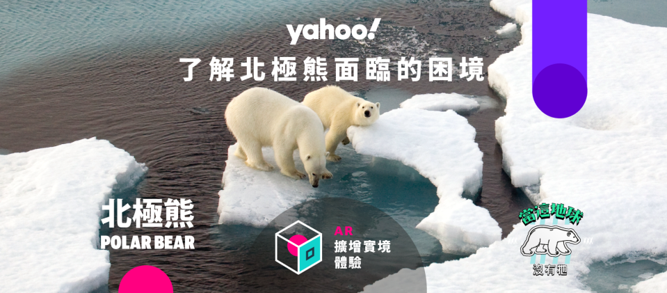 Yahoo wildlife AR