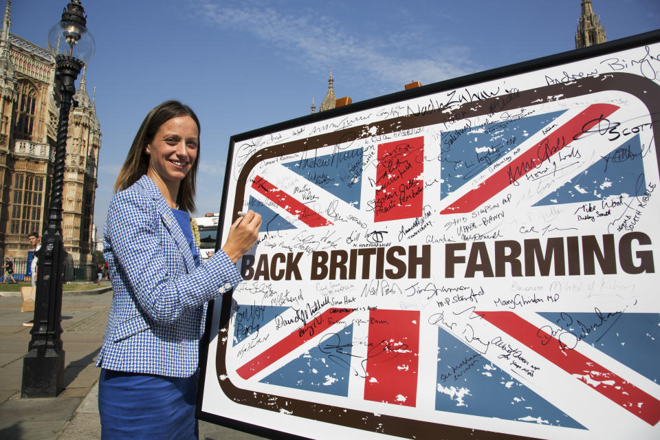 Helen Whately MP at the National Farmers Union (NFU) took machinery, produce, farmers and staff to Westminster to encourage Members of Parliament to back British farming, post Brexit on 14th September 2016 in London, United Kingdom. MPs were encouraged to sign the NFUs pledge and wear a British wheat and wool pin badge to show their support. (photo by Mike Kemp/In Pictures via Getty Images Images)