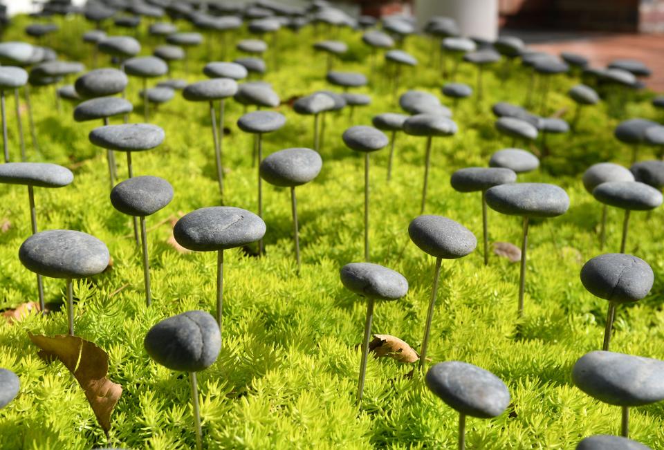 Grey pebbles appear to float above lush green foliage in the "Moments of Levity" display at the entrance to the Museum of Botany & the Arts.