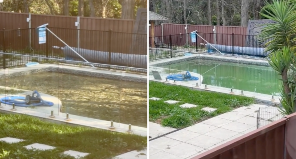 Before (left) and after (right) the resident threw chlorine over the fence into the swimming pool which was covered in green.