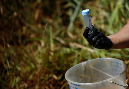 A member of SOS Mata Atlantica Foundation collects samples as they start an expedition on the Paraopeba River to understand the environmental impact of the mudslide after a tailings dam owned by Brazilian mining company Vale SA collapsed, in Brumadinho, Brazil January 31, 2019. REUTERS/Adriano Machado