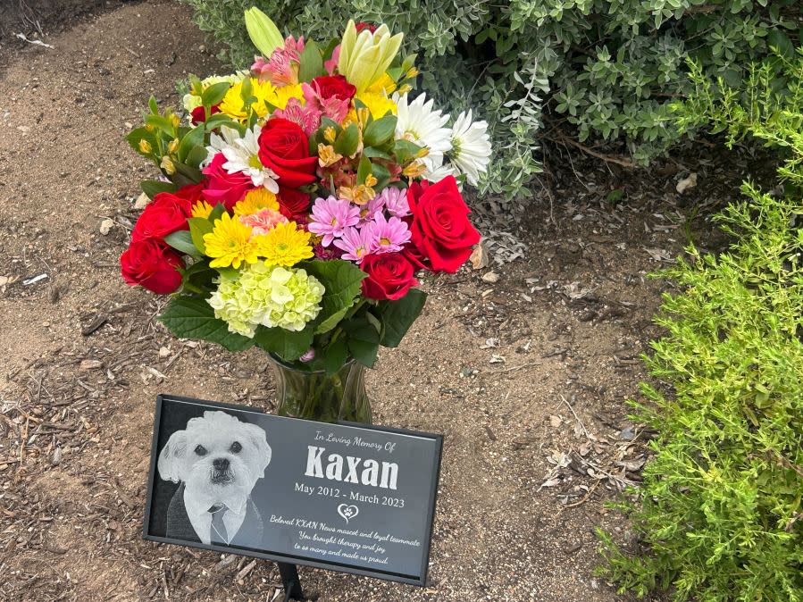 KXAN dedicated a garden in memory of Kaxan, the station's mascot, on June 13, 2024. Kaxan died in 2023. He was named the state's top therapy dog in 2019. (KXAN Photo/Frank Martinez)