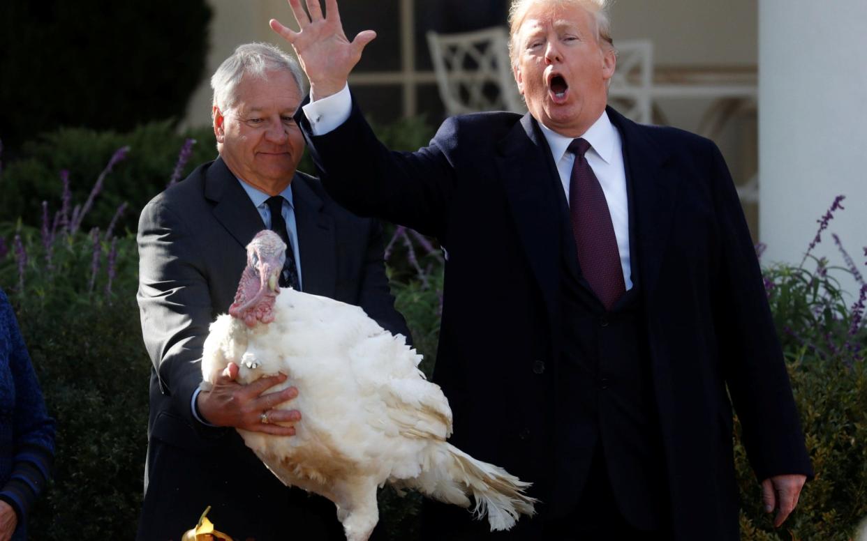 President Trump pardons Thanksgiving turkey