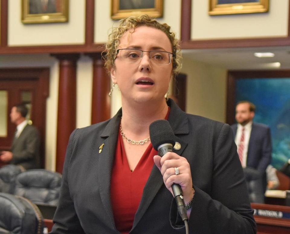 ‘The $25 million appropriation is really to go to all families, all mothers who are looking for support at this time in their life,’ said Republican Sen. Erin Grall, a sponsor of the bill.