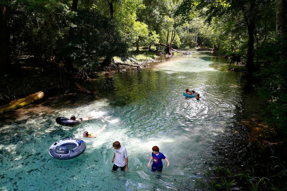 Visitors walk up the spring run of the main spring head at Gilchrist Blue Springs State Park near High Springs.