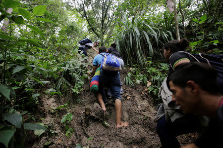 Honduran migrants hike in the forest after crossing the Lempa river, in the border line between Honduras and Guatemala to join a caravan trying to reach the U.S, in Guatemala October 17, 2018. REUTERS/Jorge Cabrera