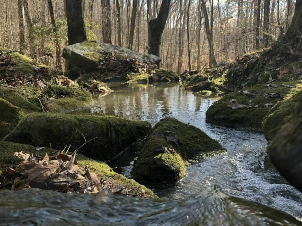 Bear Creek Outcropping Trail