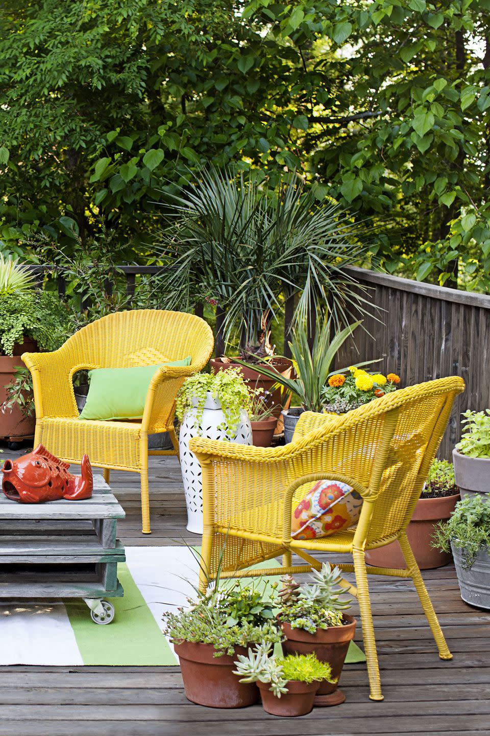 <p>Boost your backyard's appeal by filling ceramic planters with flowers, succulents and other plants. And if you want the satisfaction of watching something grow from seed to plant, consider herbs and small vegetables like broccoli and cabbage.</p><p><strong>RELATED:</strong> <a href="https://www.goodhousekeeping.com/home/gardening/a20707074/container-gardening-tips/" rel="nofollow noopener" target="_blank" data-ylk="slk:What You Need to Know About Container Gardening;elm:context_link;itc:0;sec:content-canvas" class="link ">What You Need to Know About Container Gardening </a></p>