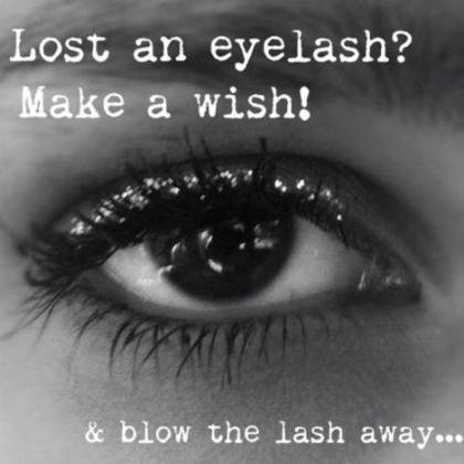 Lost Lashes 