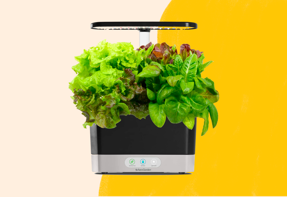 Pick up an AeroGarden for under $90 today at Amazon.